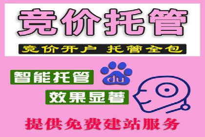 竞价托管实战案例：优化广告投放策略，实现业绩增长